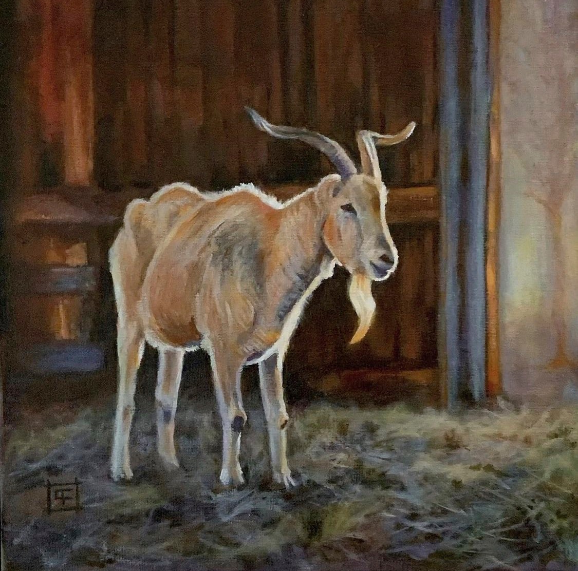 A Good Morning - Willy the Goat by Cheryl Feng  Image: A Good Morning - Willy the Goat by Cheryl Feng