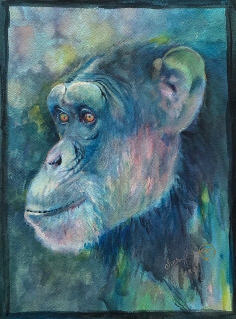 Beautiful Jo by Cheryl Feng  Image: Fundraiser for Chimp Sanctuary NW
