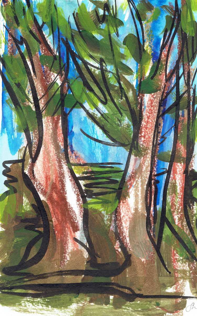 Redwoods XIII, Image 1.