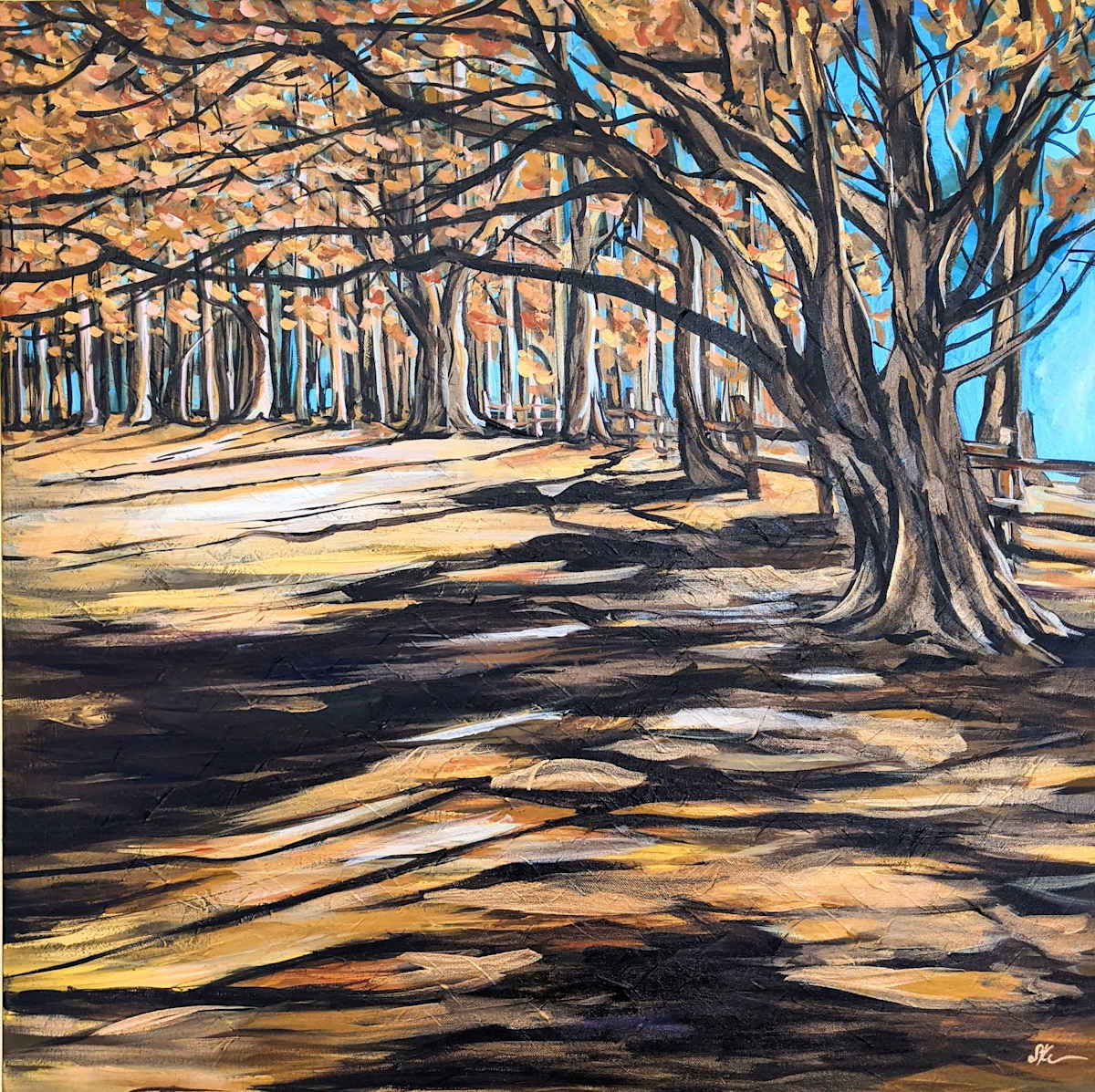Fitzgerald Cypress Grove, Image 1.