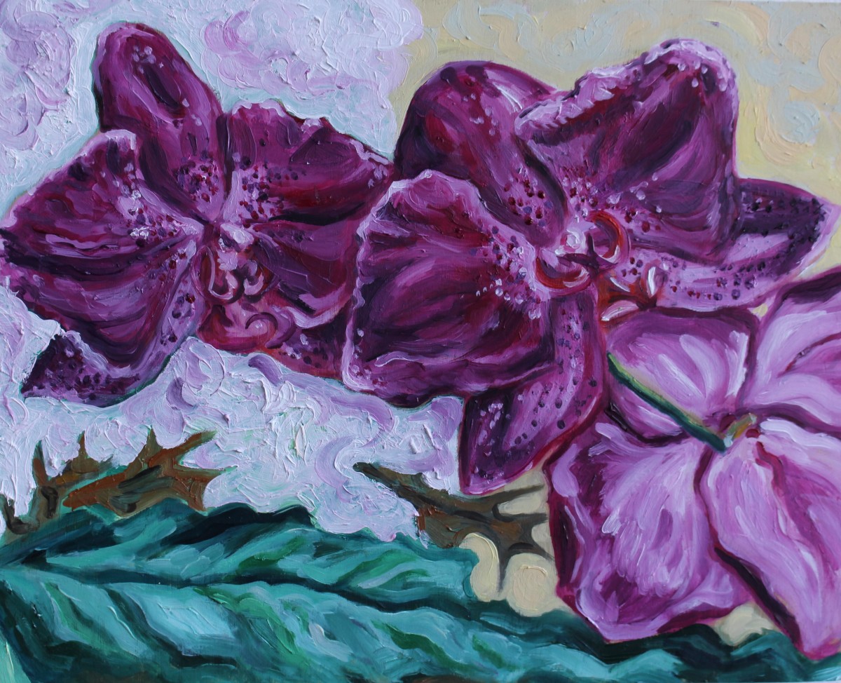 Orchids by Sonya Kleshik 