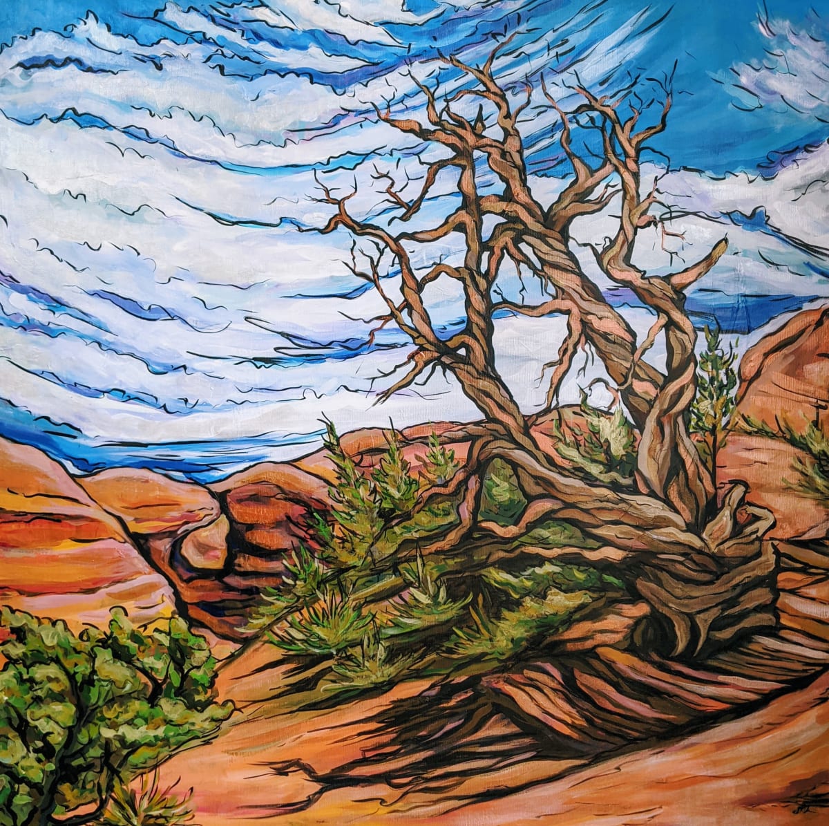 Twisted Tree, Arches National Park 