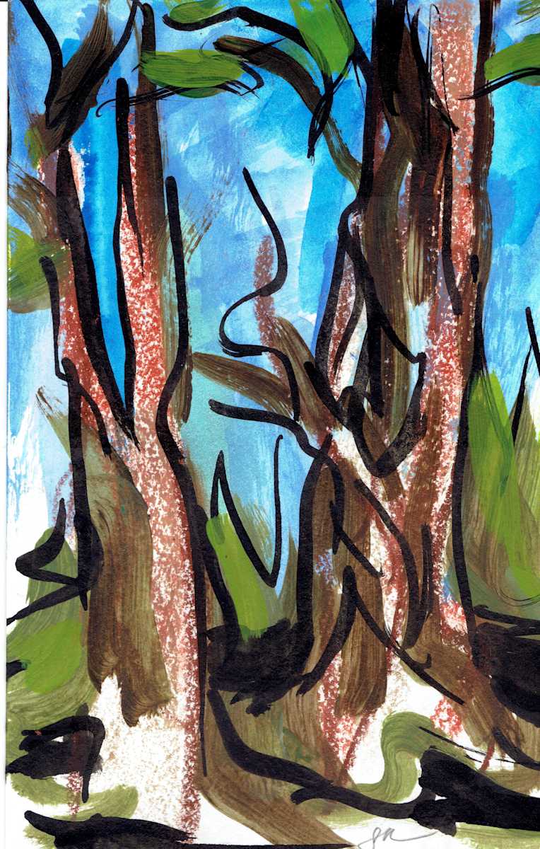 Redwoods XII, Image 1.