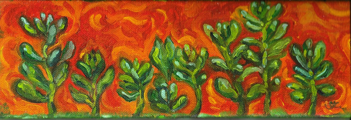 Bean Succulents by Sonya Kleshik 