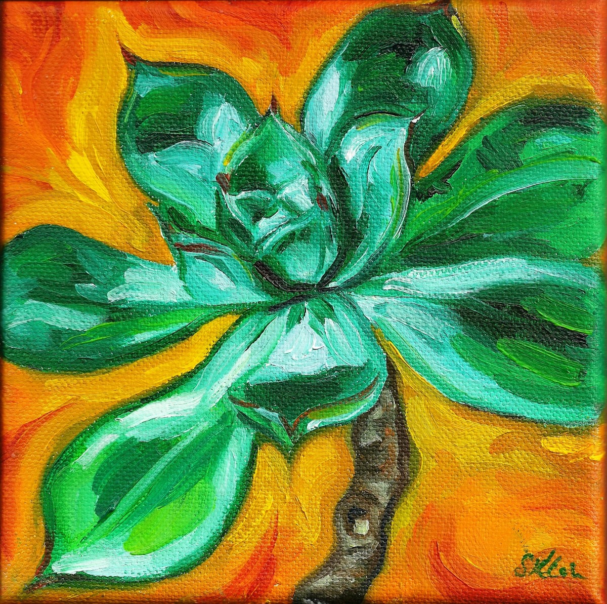 Small Green Succulent by Sonya Kleshik 