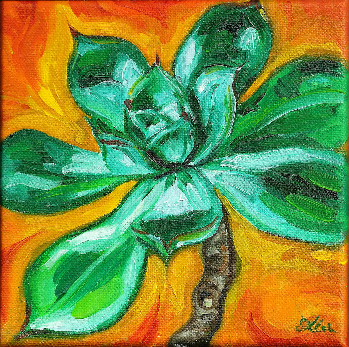 Small Green Succulent by Sonya Kleshik, Image 1.