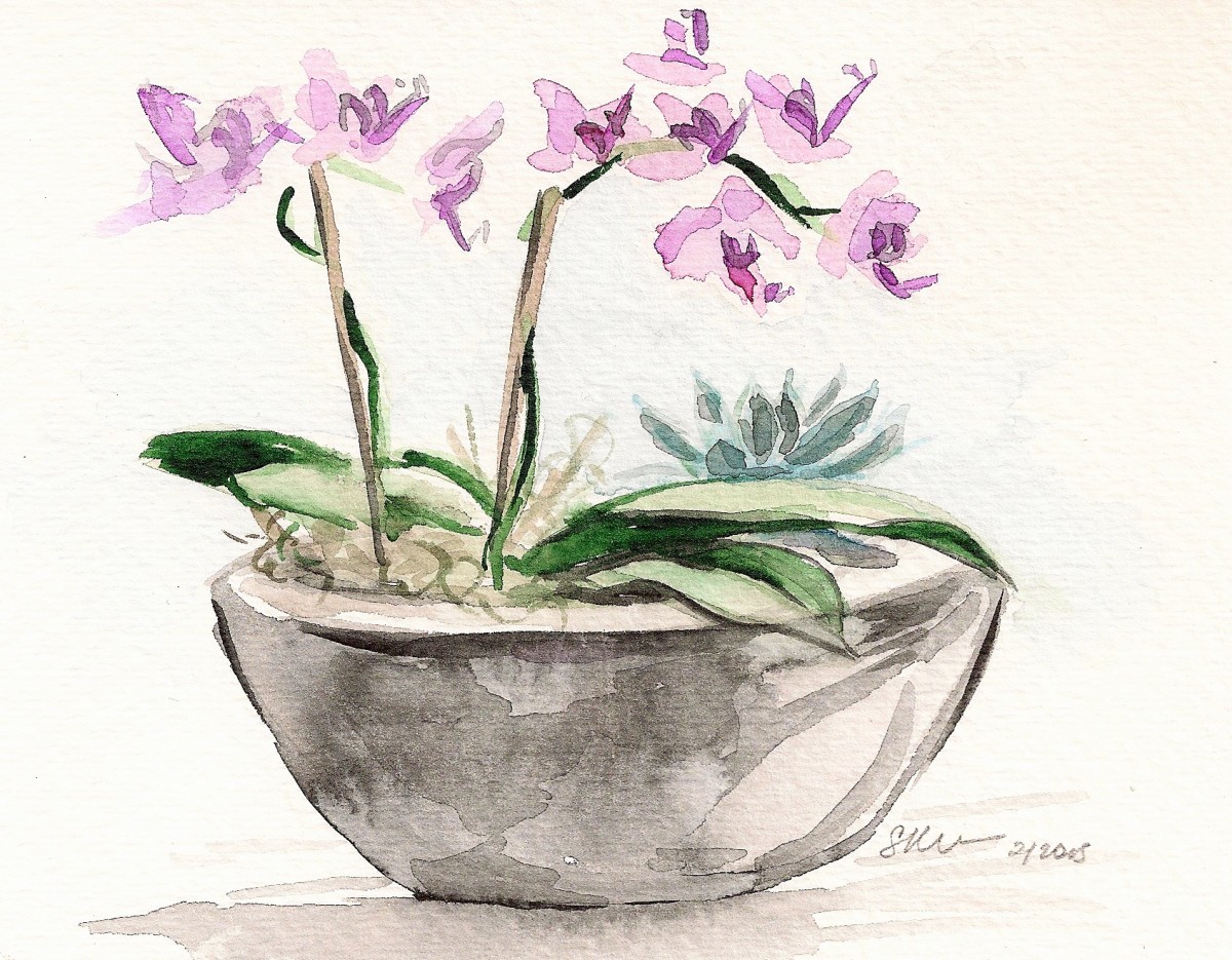 Orchid Boat with Succulent by Sonya Kleshik 