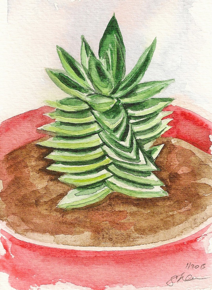 Twisting Succulent in Red Pot by Sonya Kleshik 