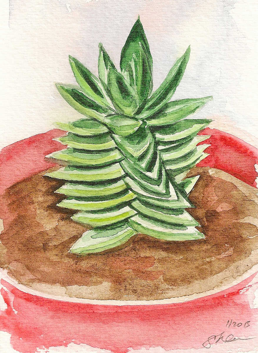 Twisting Succulent in Red Pot by Sonya Kleshik, Image 1.