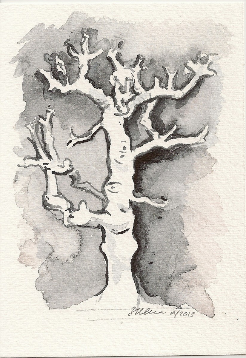 Fig Tree by Sonya Kleshik 