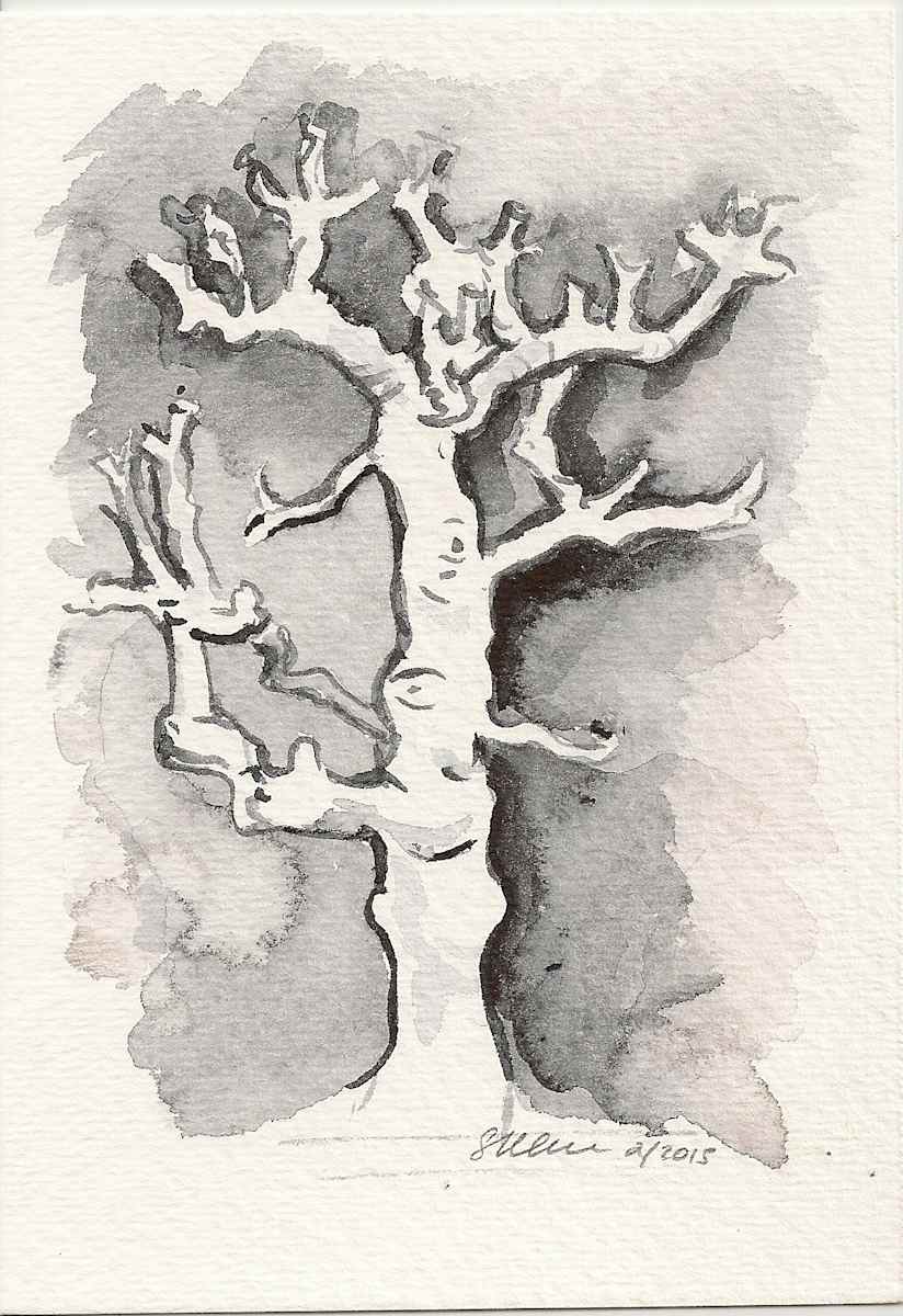 Fig Tree by Sonya Kleshik, Image 1.
