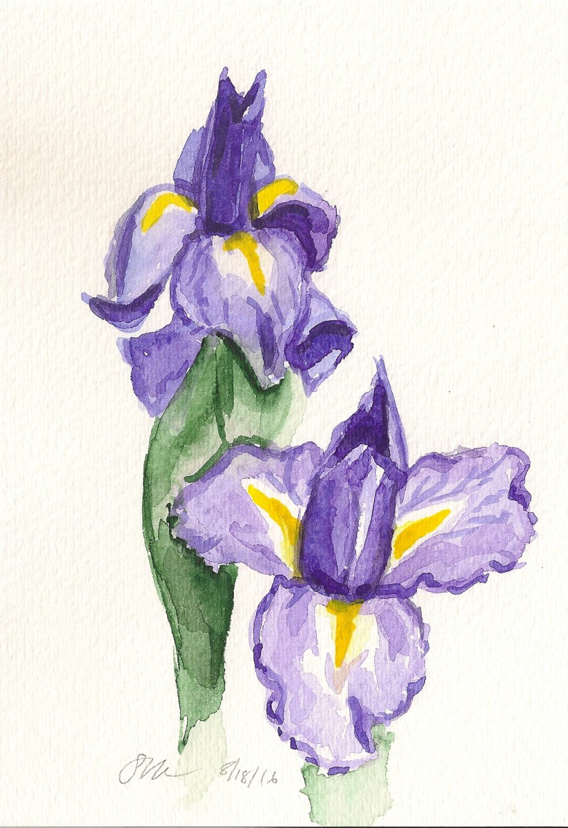 Two Irises by Sonya Kleshik 