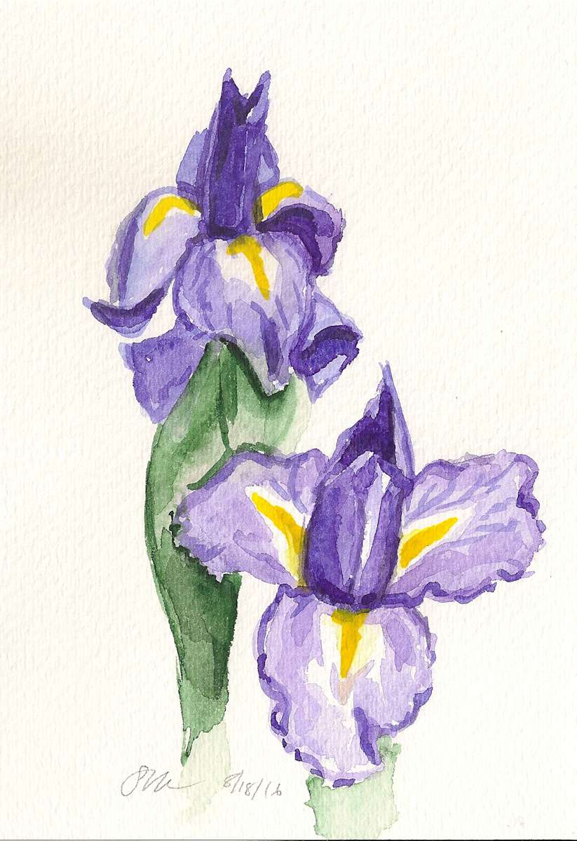 Two Irises by Sonya Kleshik, Image 1.