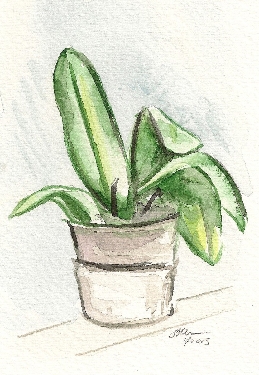 Orchid After Bloom by Sonya Kleshik 