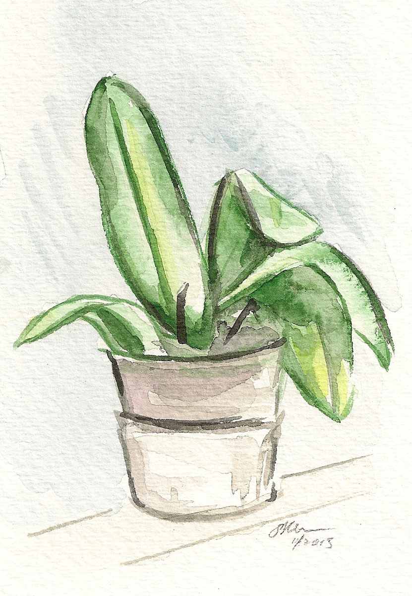 Orchid After Bloom by Sonya Kleshik, Image 1.
