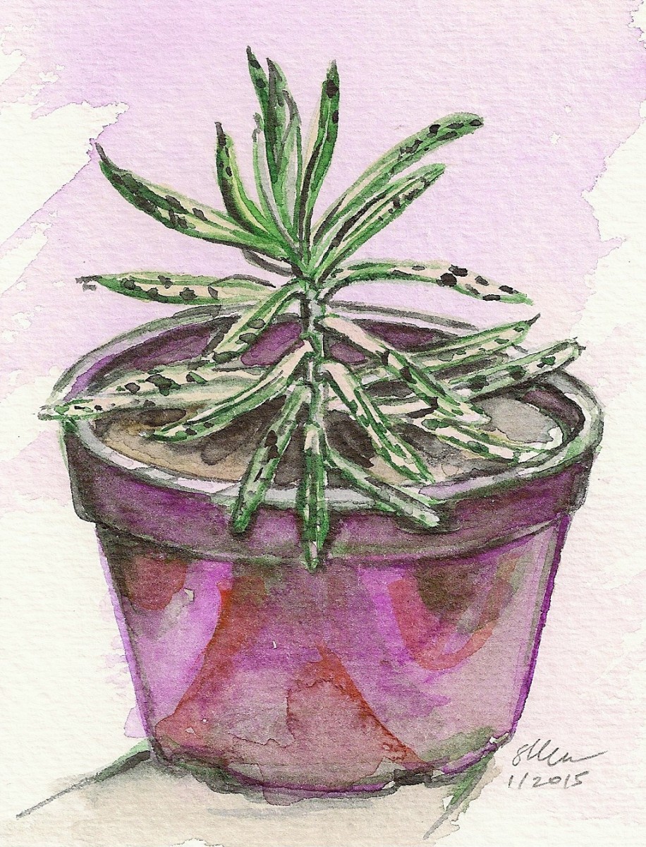 Kalancha by Sonya Kleshik 