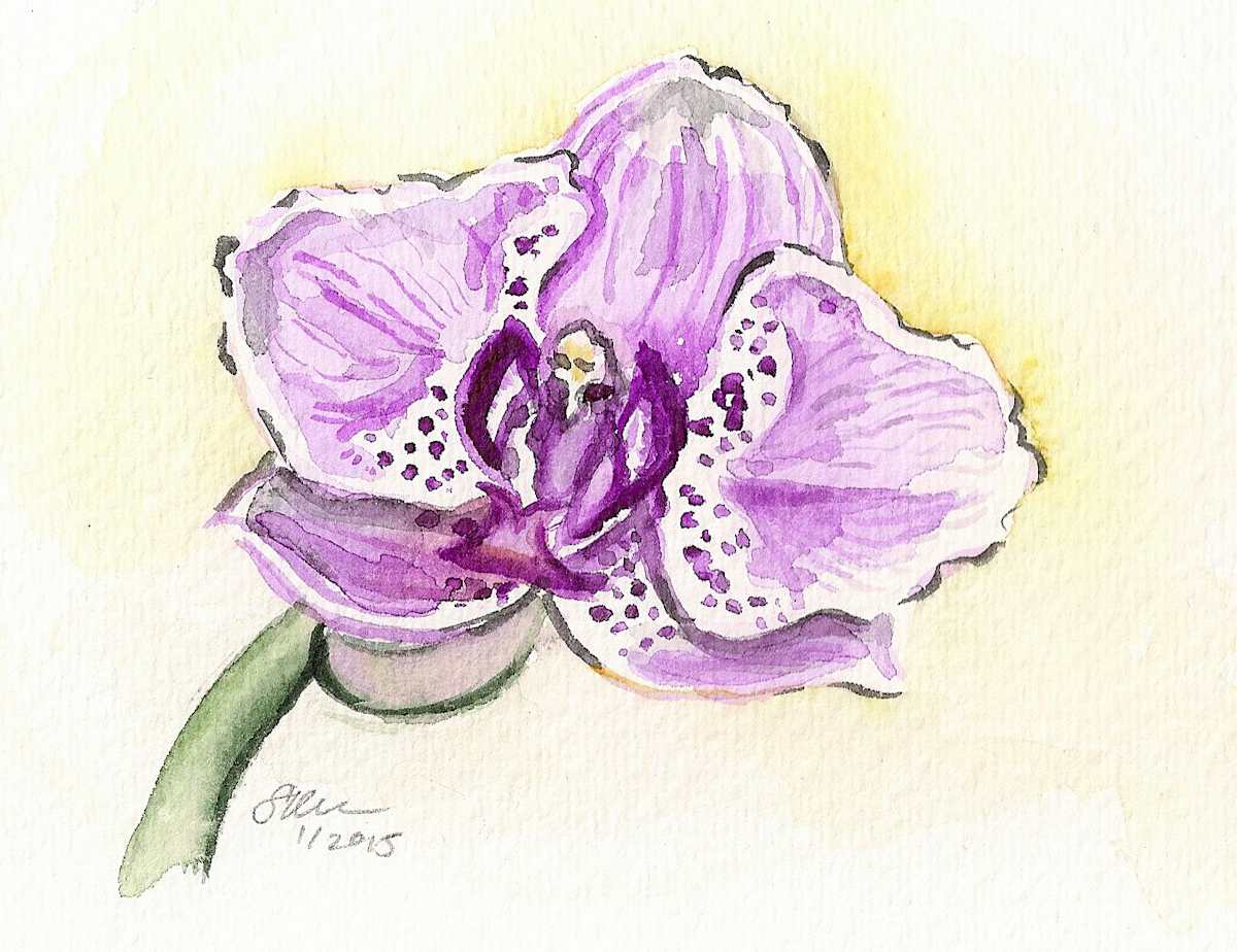 Pink Orchid by Sonya Kleshik, Image 1.
