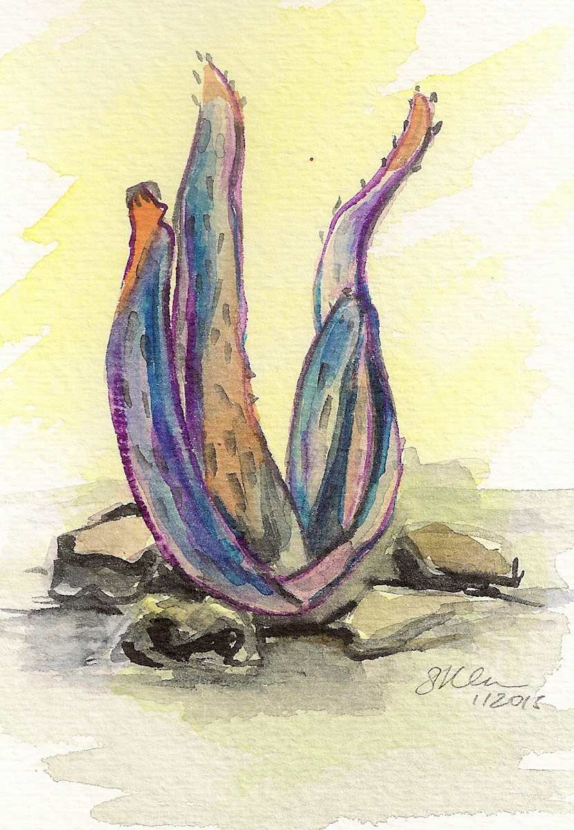 Aloe by Sonya Kleshik, Image 1.