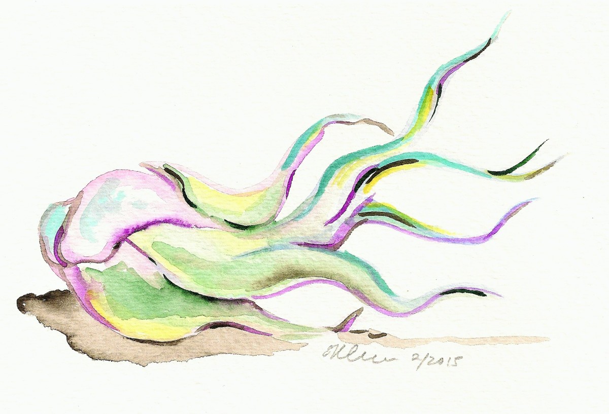 Air Plant by Sonya Kleshik 