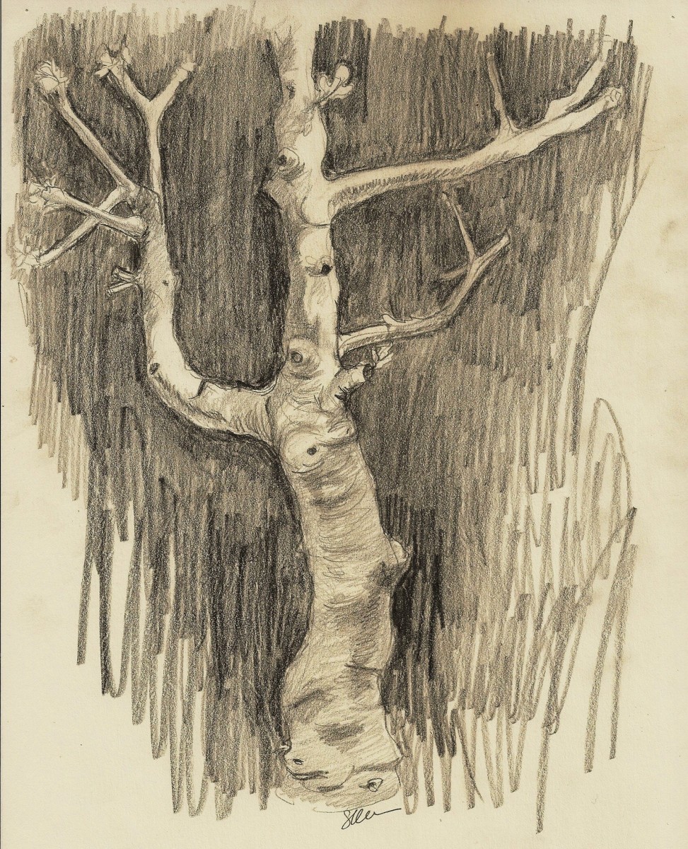 Fig Tree II by Sonya Kleshik 