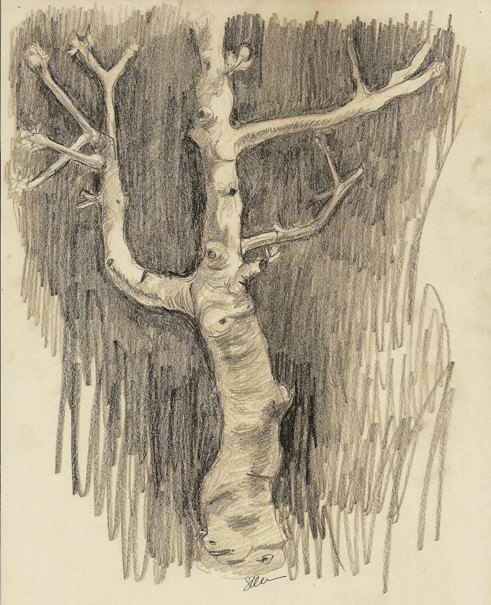 Fig Tree II by Sonya Kleshik, Image 1.
