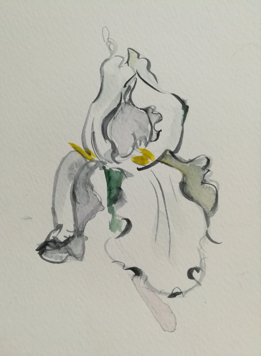 White Iris by Sonya Kleshik 