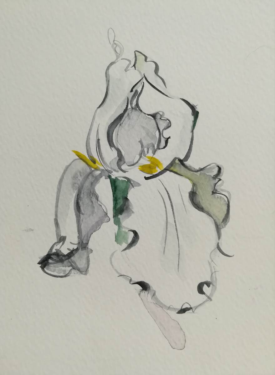 White Iris by Sonya Kleshik, Image 1.