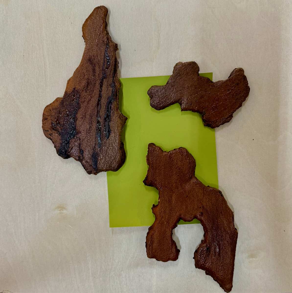 Sitka Bark II by Shobha Jetmalani, Image 1.
