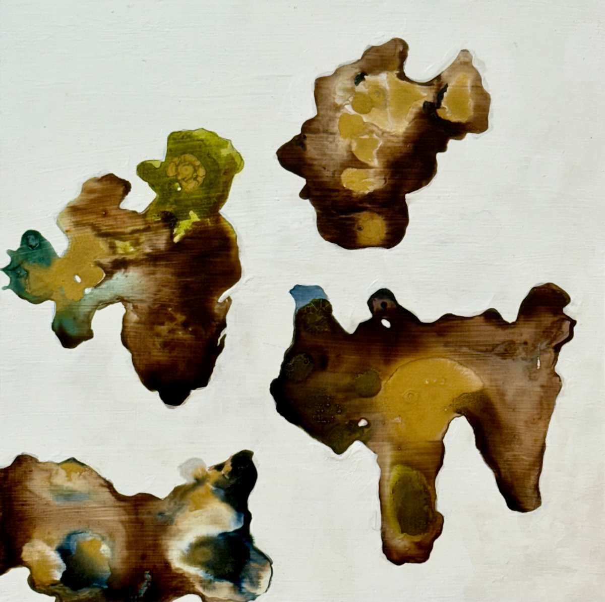 Sitka Bark Ink III by Shobha Jetmalani 