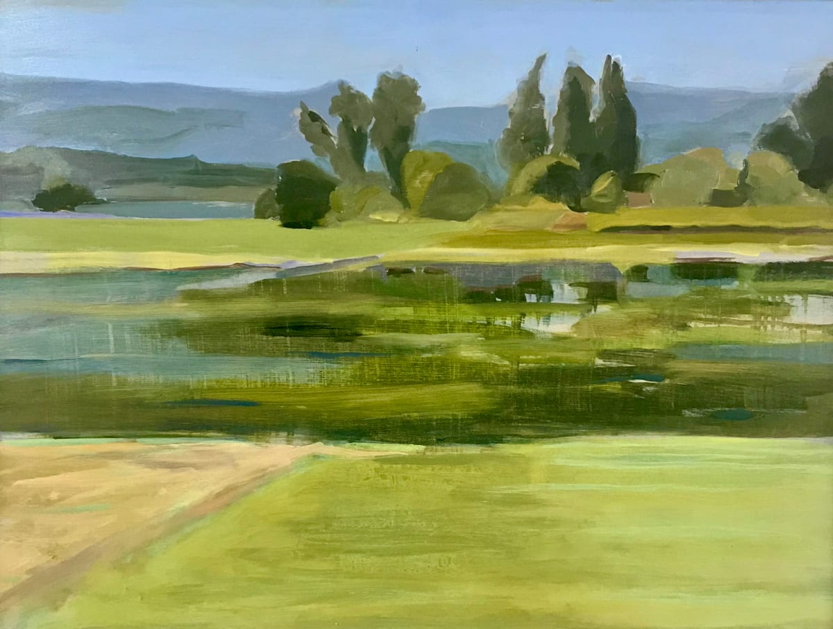 Sauvies Island Reflection 
