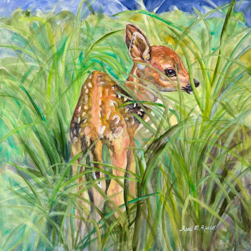 First Look by April Rimpo, Image 1.