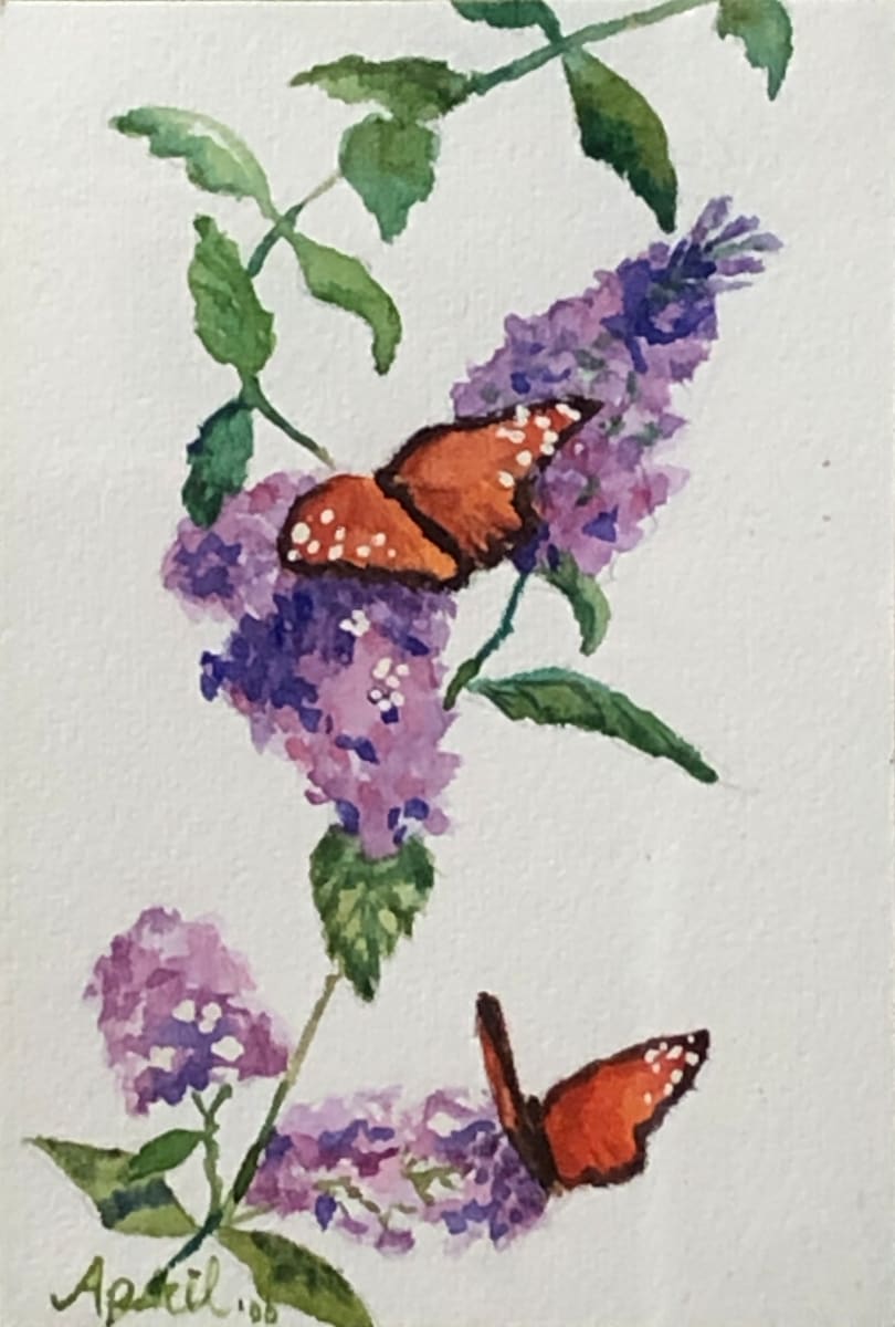 Butterfly Delight by April Rimpo 