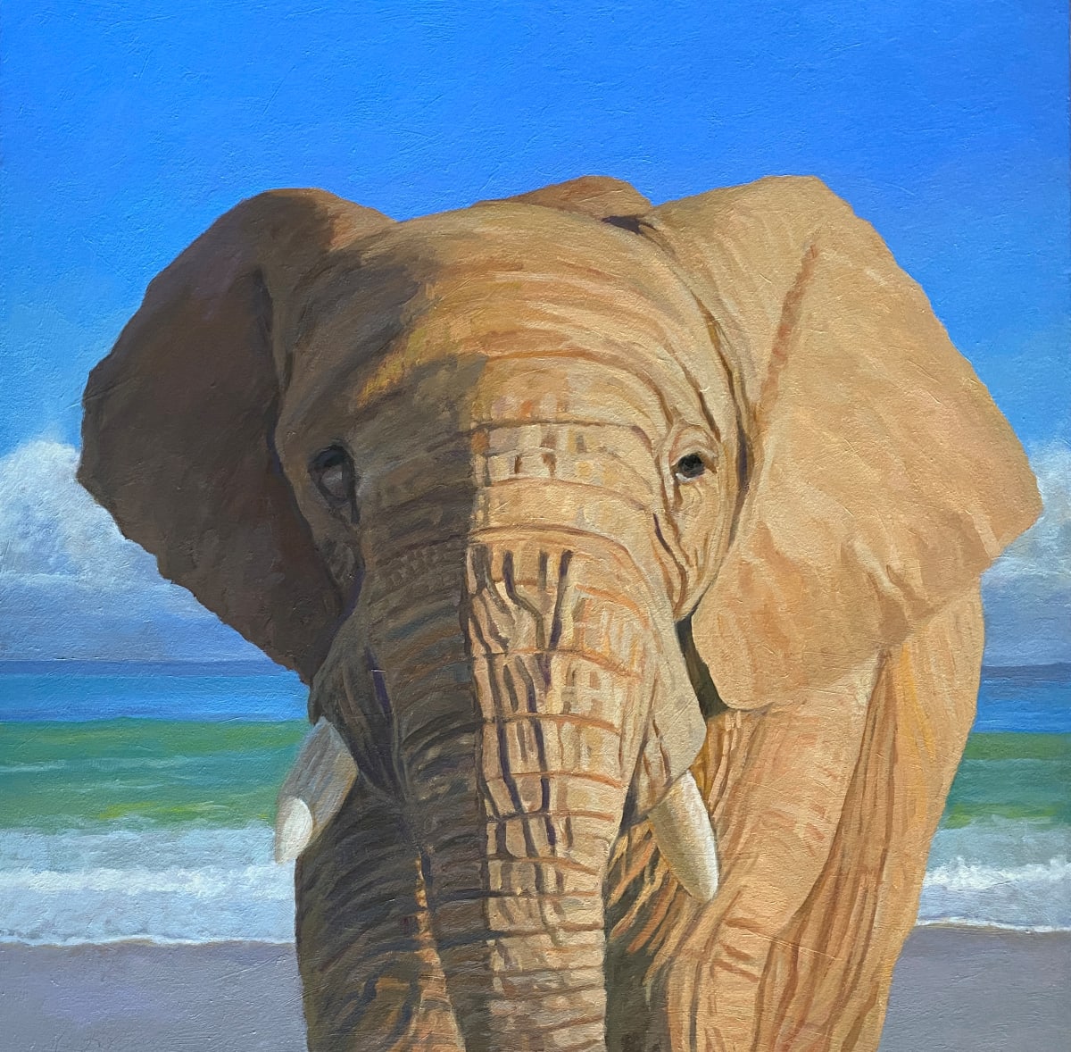Elephant at the Beach 