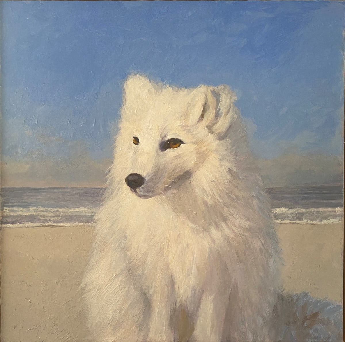 Arctic Fox at the Beach 