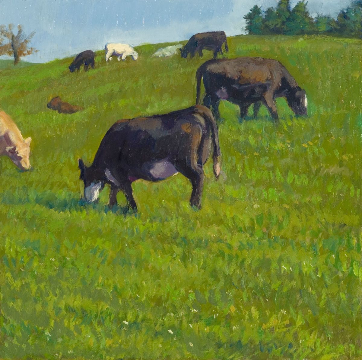 Grazing #3 by Nancy Bass 