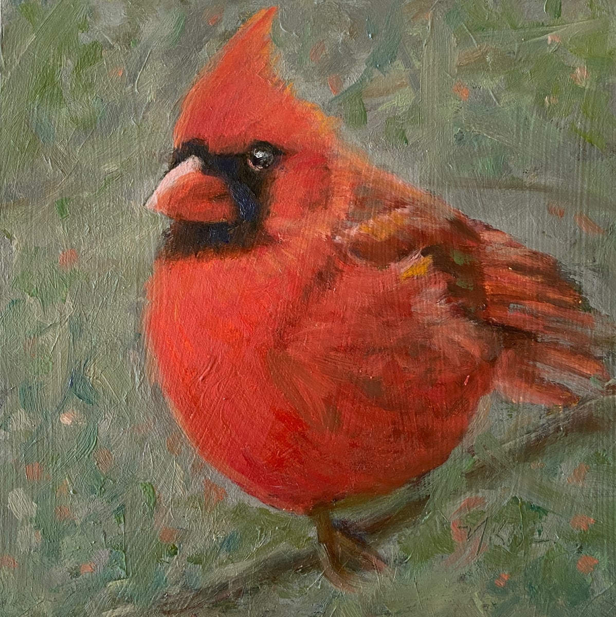 Red Cardinal 