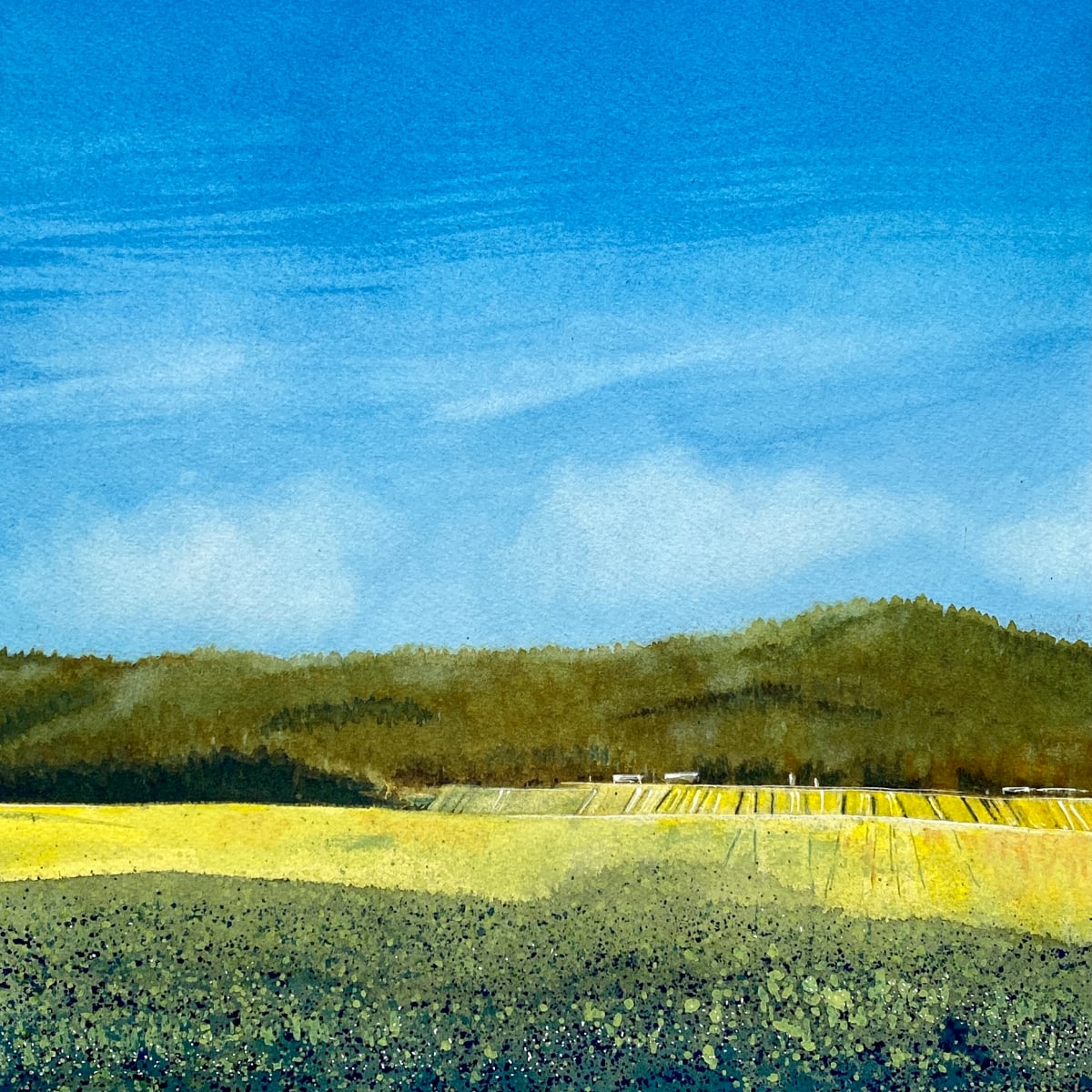 Canola Stripes by Amalia Fisch, Image 2.