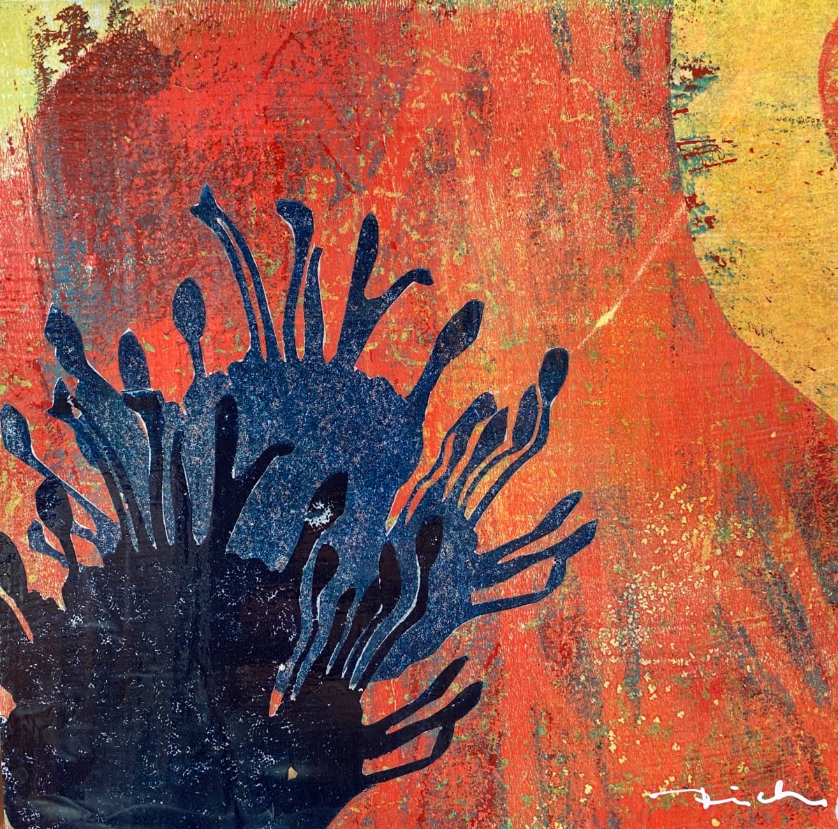 Pods in Shadow by Amalia Fisch, Image 1.