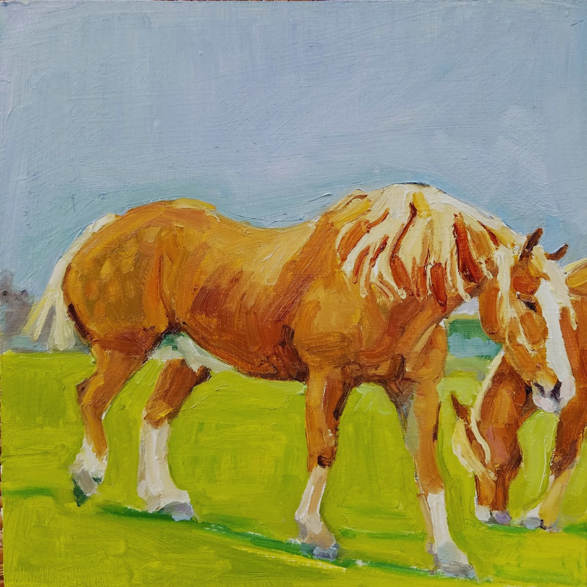 Belgian Horse by Rachel Catlett 