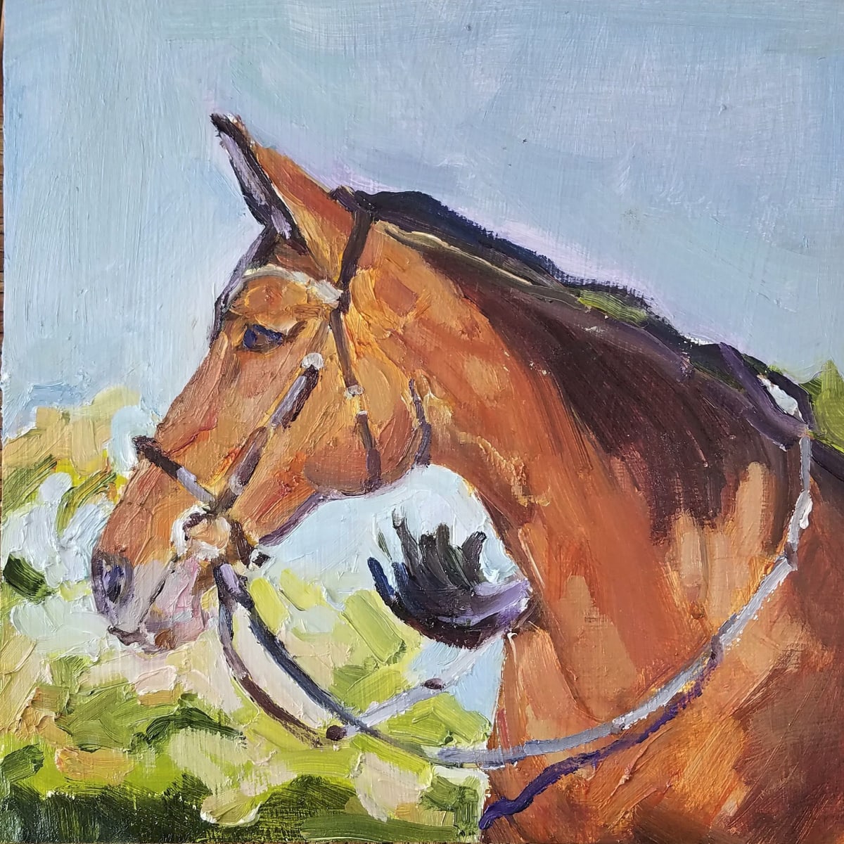 Cleveland Bay Horse  Image: Cleveland Bay Horse I
