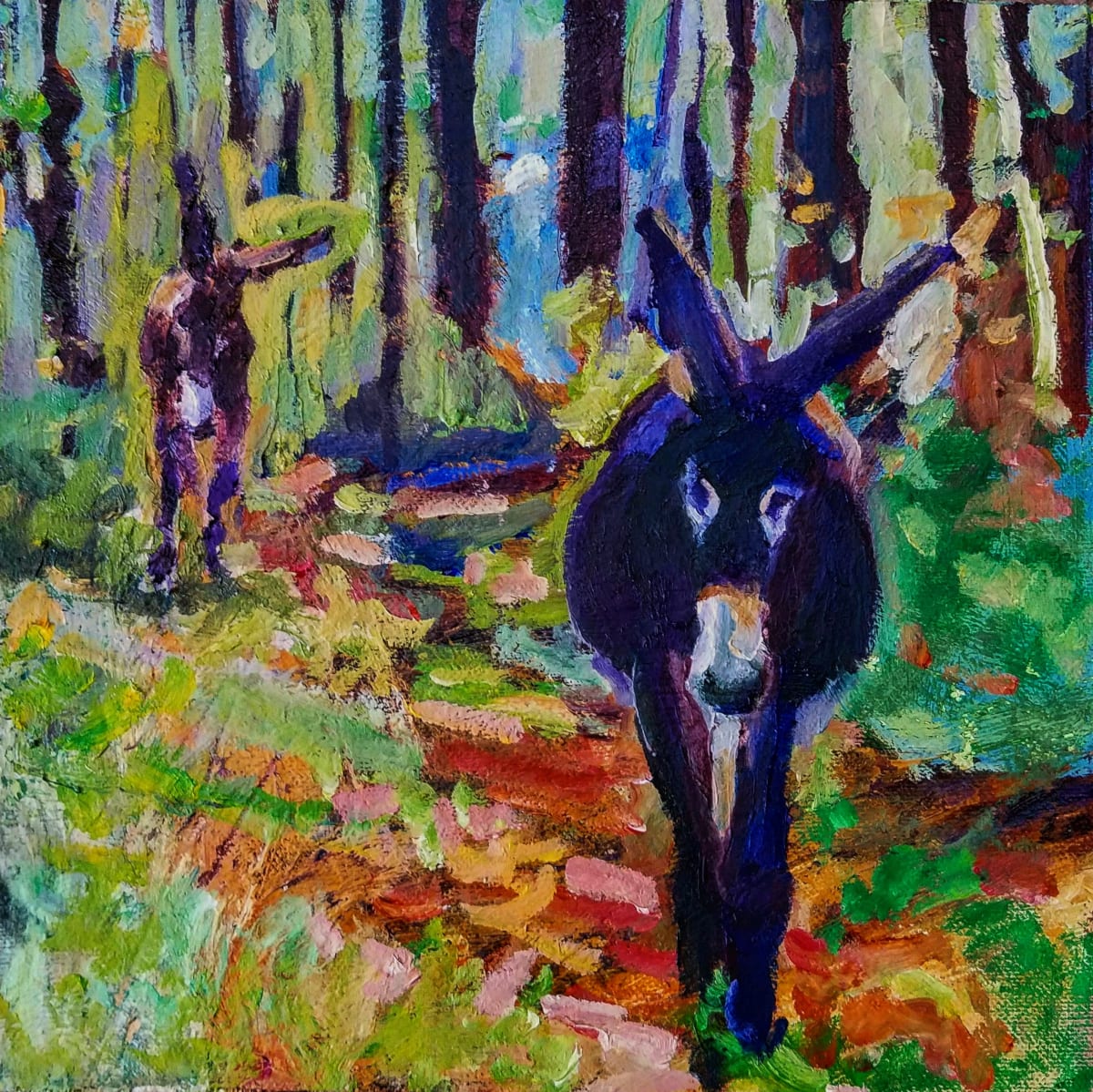 American Jackstock Donkey by Rachel Catlett 