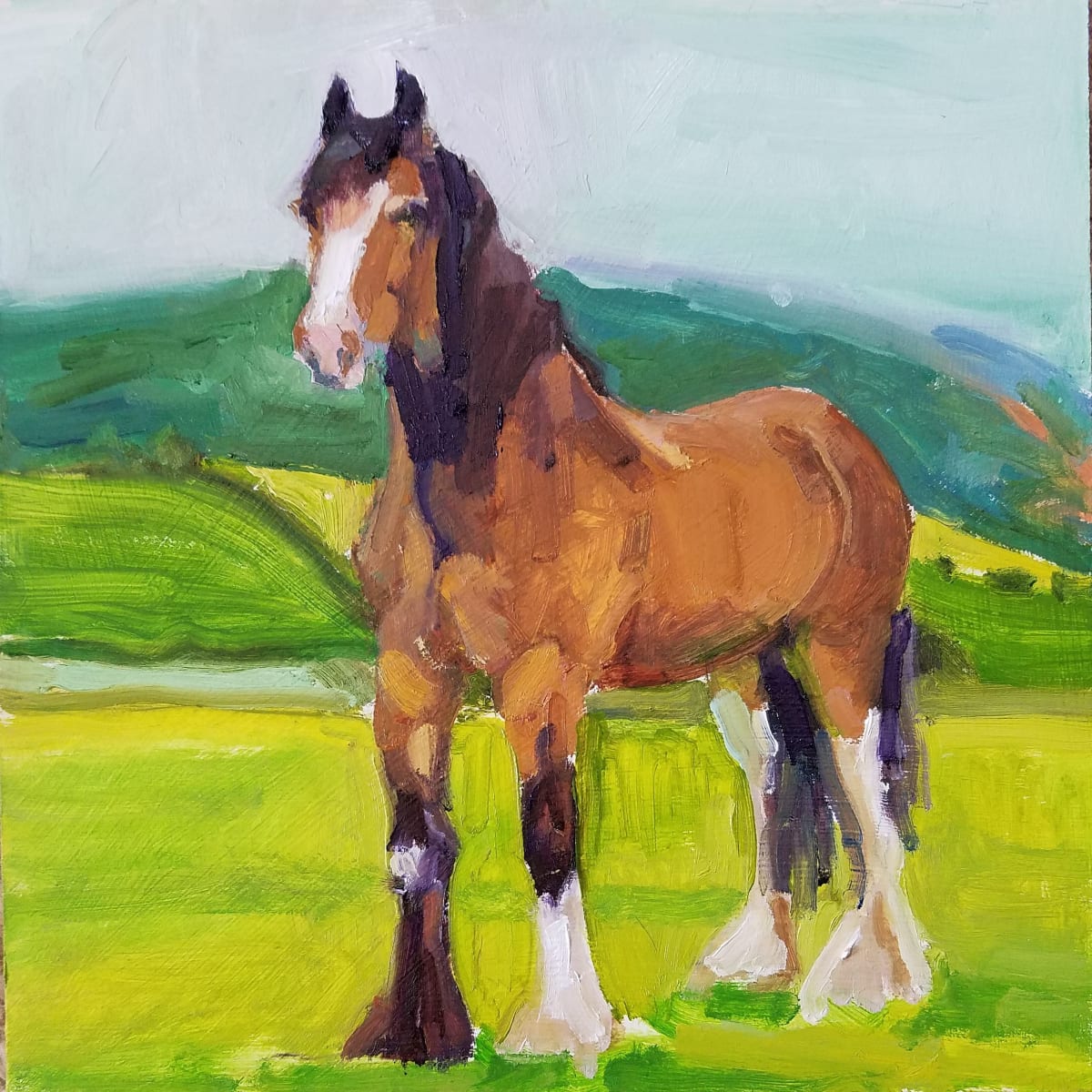 Shire Horse by Rachel Catlett 