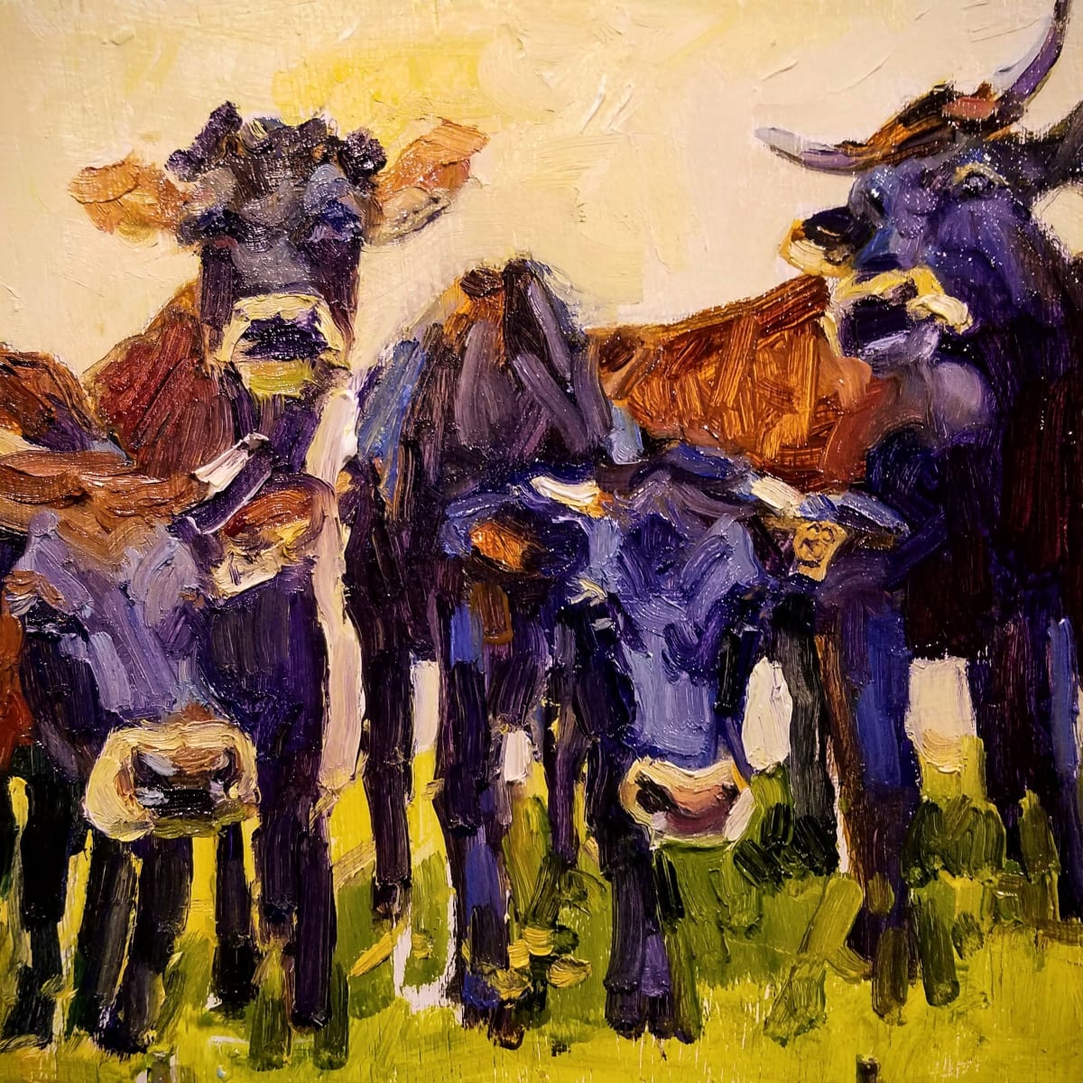 Canadienne Cattle by Rachel Catlett 