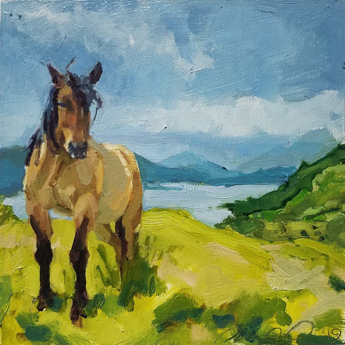 Highland Pony by Rachel Catlett 
