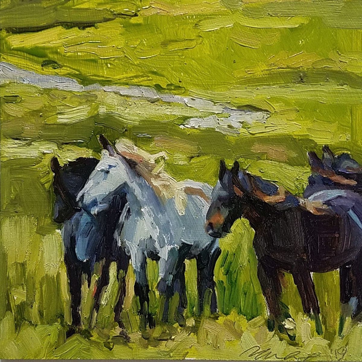 Fell Ponies by Rachel Catlett 