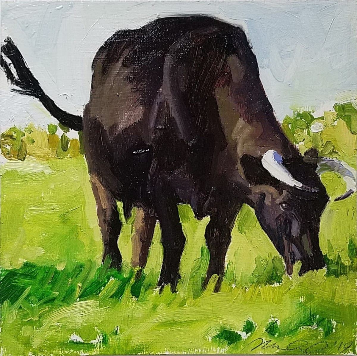 Kerry Cow by Rachel Catlett 