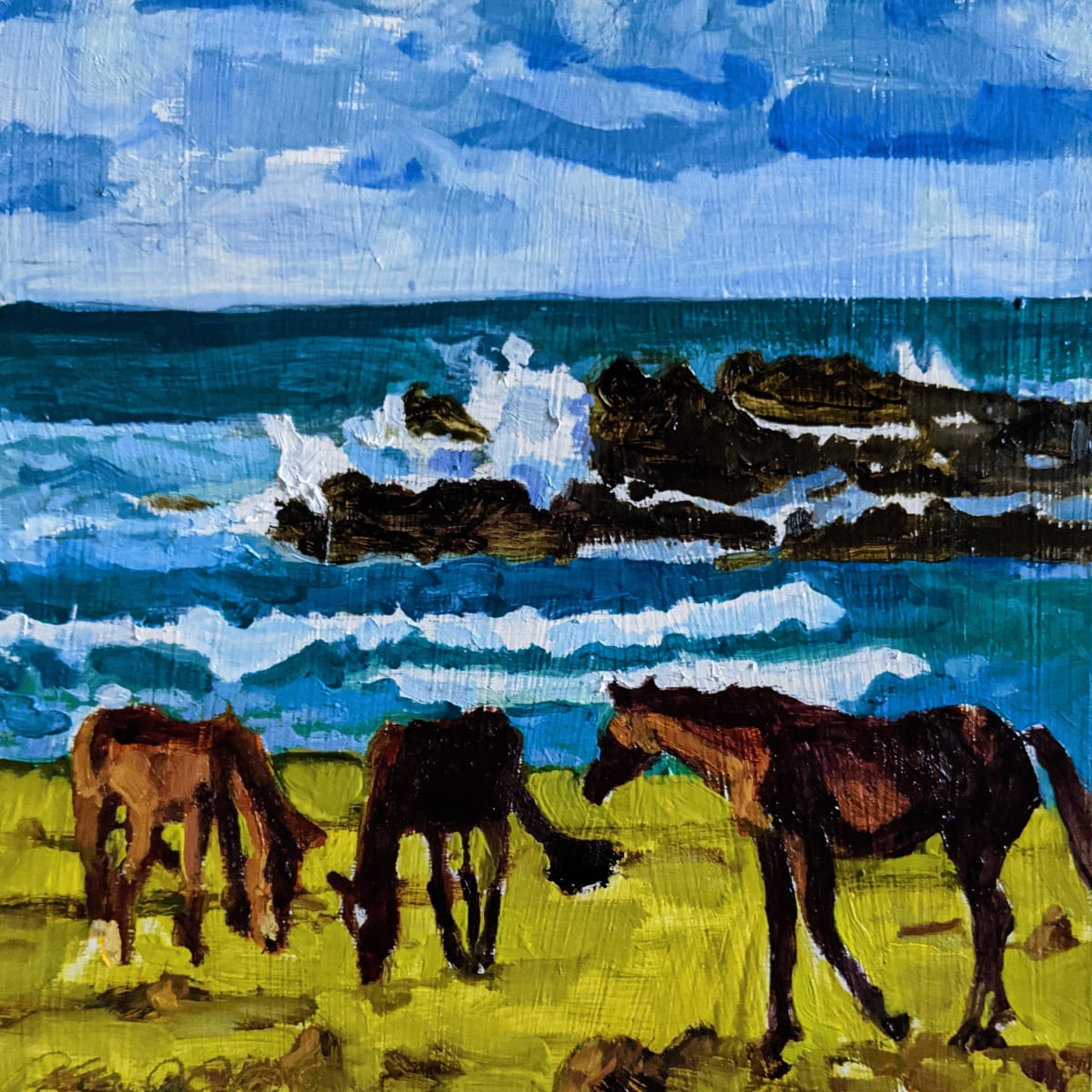 Santa Cruz island Horses by Rachel Catlett 