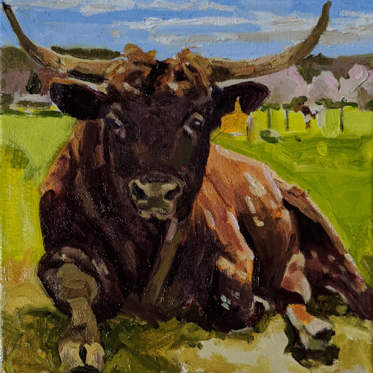 Pineywoods Bull by Rachel Catlett 