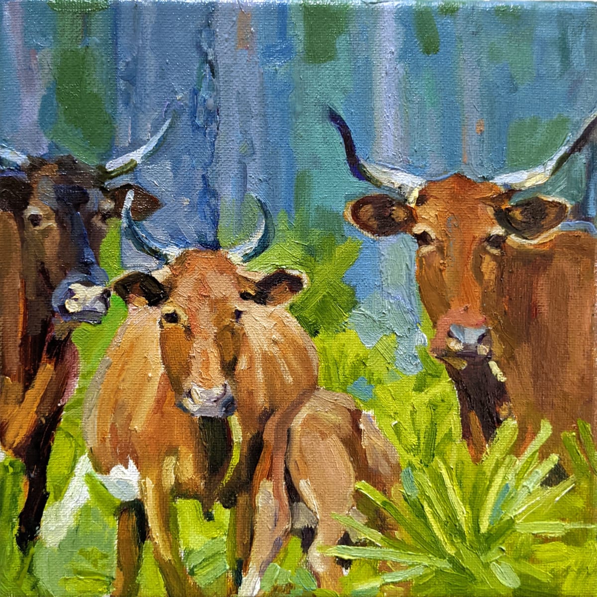 Florida Cracker Cattle by Rachel Catlett 