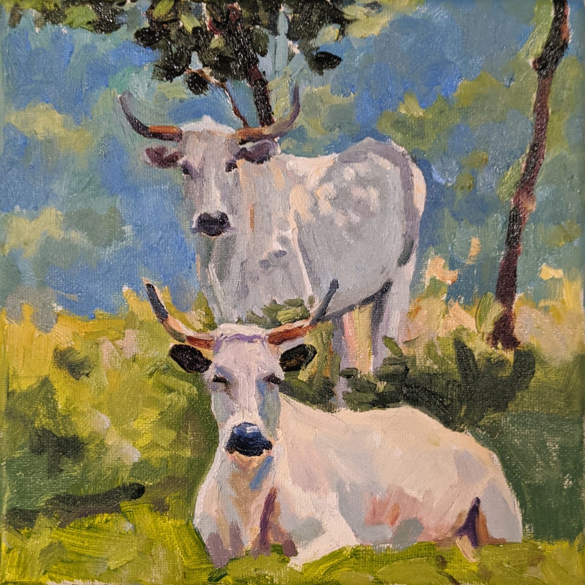 Ancient White Park Cattle by Rachel Catlett 